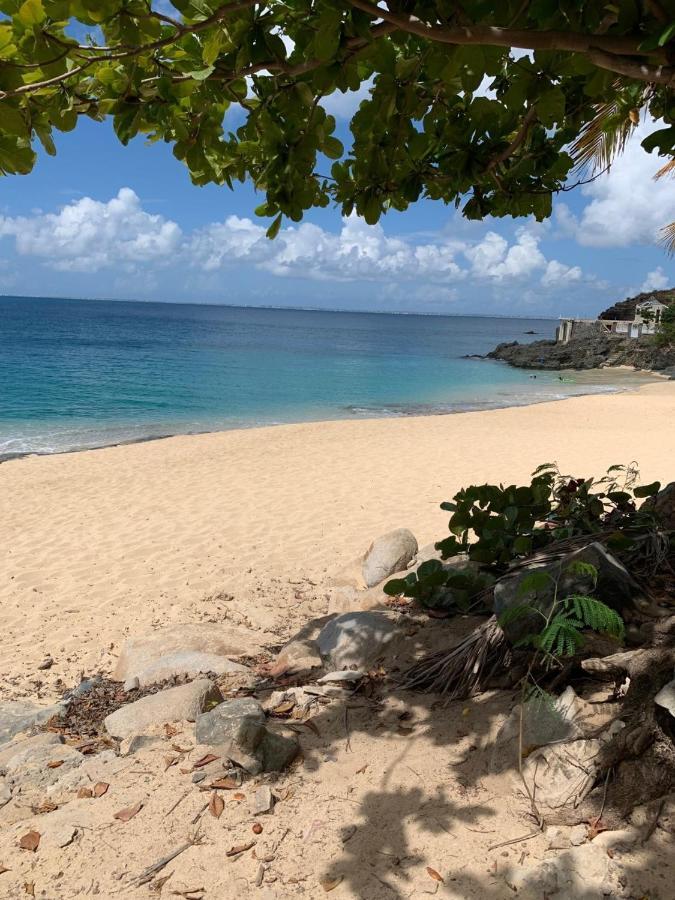 St Martin Nettle Bay Lovely Appartment Sandy Ground Bagian luar foto